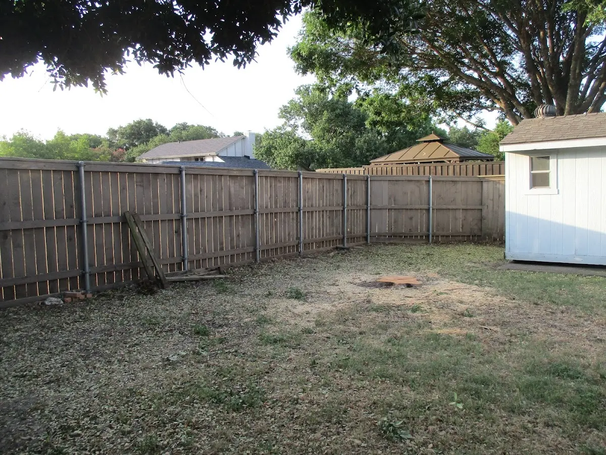 Cleared yard after professional tree removal in Ellsworth