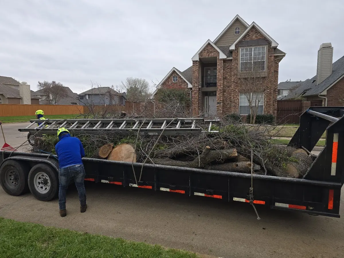 Expert Tree Pest Control with proper safety equipment in Ellsworth